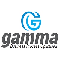 Gamma Process